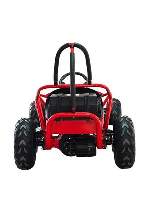 1000w Electric Go Kart Mini Dune Buggy per bambini 2WD guida Tipo 1440*820*860mm