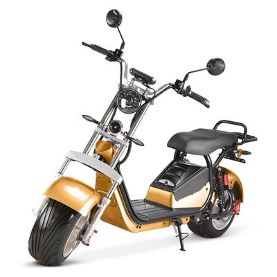 Vivi la libertà delle nostre moto elettriche personalizzabili da 1500W per adulti