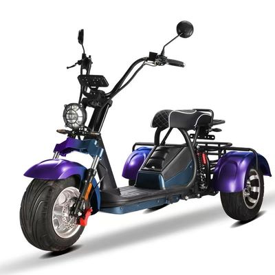 Scooter elettrico Citycoco Unisex 2000w con 3 ruote e 60-80 km di autonomia per carica