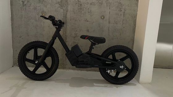 Scooter elettrico per bambini Balance Bike con motore senza spazzole e batteria 24V5.2AH