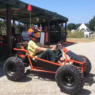 Parco di divertimenti noleggio Golf Buggy Cart con motore senza spazzole 1000W e certificazione CEE