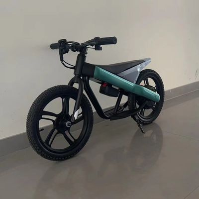 Bicicletta elettrica da 16 pollici per bambini con telaio in acciaio e materiale di cerchiera in titanio