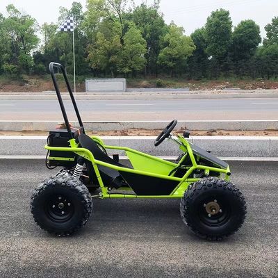 Tracce di neve e sabbia 1000W Aft Drive Go Kart Aotong Motor Electric Golf Buggy