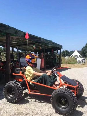 Tracce di neve e sabbia 1000W Aft Drive Go Kart Aotong Motor Electric Golf Buggy