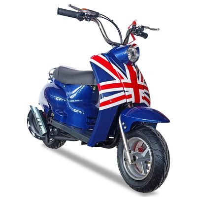 Sperimenta la potenza di un motore da 49cc DISC Brake Pocket Bike Mini Motociclette nel 2024