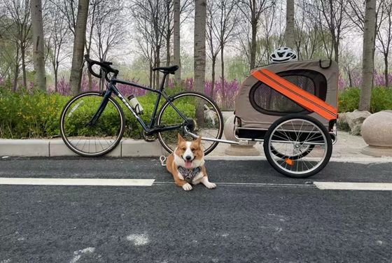Camioncino per bambini Carrier Bike Trailer Pet Outdoor Camping Trailer con pneumatico anteriore da 14&quot;