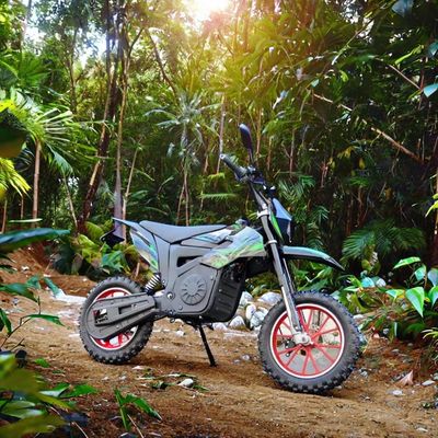 Motocicletta elettrica a 48V Cross per bambini Max. velocità 40-60km/h Batteria al litio