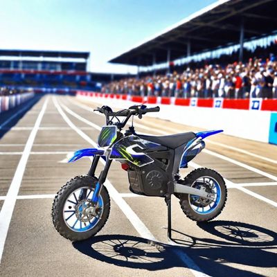 1200W Electric Dirt Bike con adesivi e Max. velocità 40 60km/h Motociclette fuoristrada