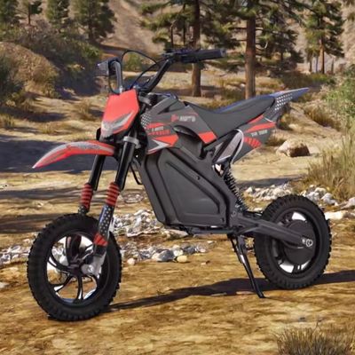 350W Motor Power Kids Dirt Bike 24v 500W Motocicletta elettrica con freno anteriore e posteriore