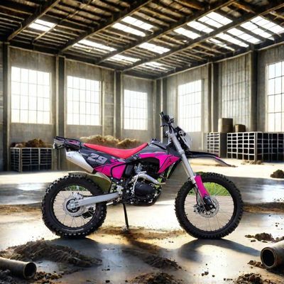 Electric Start 250cc Enduro Dirt Bike Max. Velocità 100km/h Ideale per avventure off-road