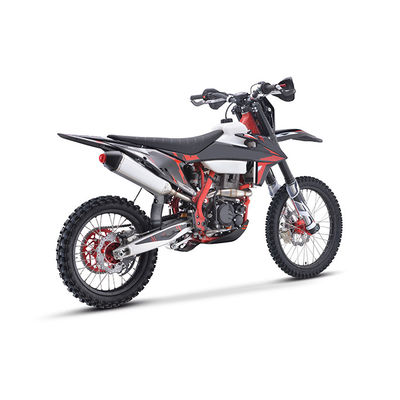 100 km/h 200-400cc Full Size Racing Pit Bike Moto Cross Dirt Bike Cbs300cc