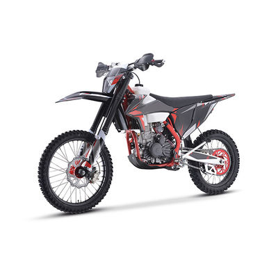 100 km/h 200-400cc Full Size Racing Pit Bike Moto Cross Dirt Bike Cbs300cc