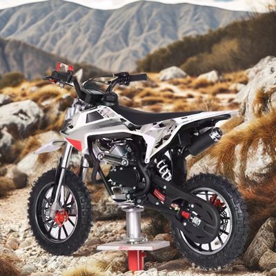 Colori personalizzati 60CC Motore 4 tempi bici sporca per bambini con freno DISC