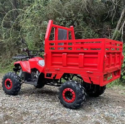 Farm ATV Aotong 125cc/150cc con rimorchio e scatola di carico 2WD 4WD Off Road ATV Voltage 12V