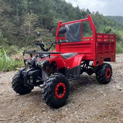 Farm ATV Aotong 125cc/150cc con rimorchio e scatola di carico 2WD 4WD Off Road ATV Voltage 12V
