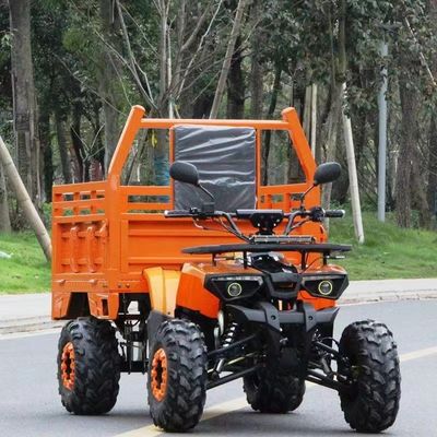 Farm ATV Aotong 125cc/150cc con rimorchio e scatola di carico 2WD 4WD Off Road ATV Voltage 12V