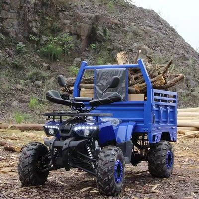 Farm ATV Aotong 125cc/150cc con rimorchio e scatola di carico 2WD 4WD Off Road ATV Voltage 12V
