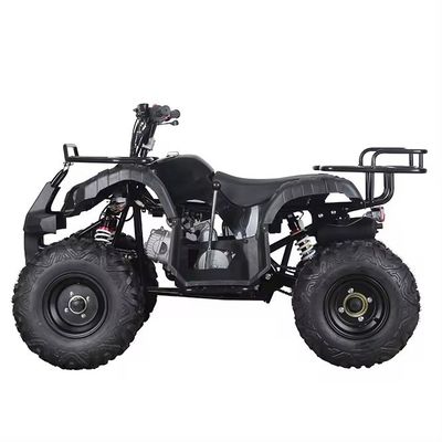110cc 125cc ATV con azionamento automatico a catena Aotong's Compact Design Prodotto cinese