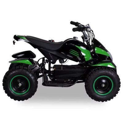 800w 1000w Moto 36v Mini Beach Buggy Quadricycle 500W Electric Quad ATV per bambini