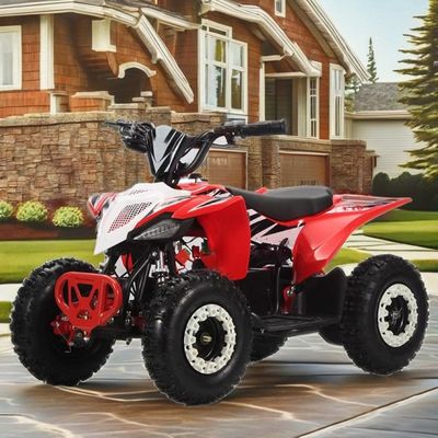 36V Kids Quad Electric 1000w Atv 125cc 6inch Automatic Quad Motorcycle per bambini 2WD