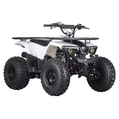 Motore 125cc Quadbike ATV Motore moto 125cc per lucchetto differenziale Non equipaggiato