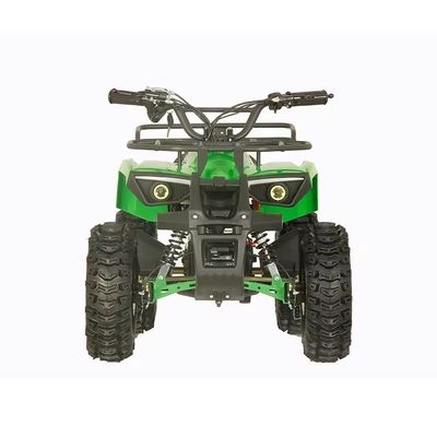 Street Legal 1200W ATV Quattro ruote Quad Bike con 2WD e 30-50km di chilometraggio