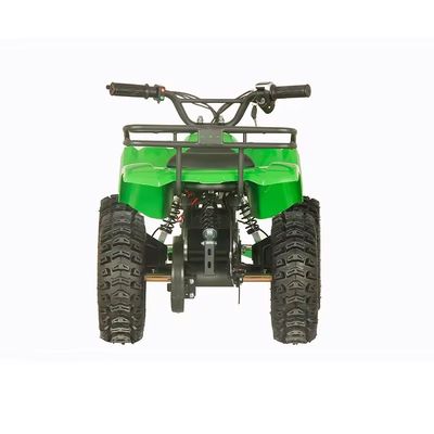 Street Legal 1200W ATV Quattro ruote Quad Bike con 2WD e 30-50km di chilometraggio