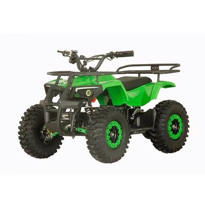 Quadriciclo elettrico Aotong 1000w48V20Ah con tipo di guida 2WD e tempo di ricarica 5-7h