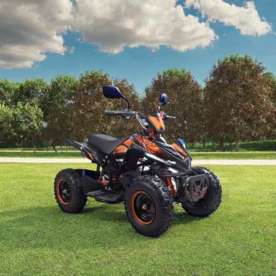 Bambini 50cc 4 Wheeler Quad Atv con Certificazione CE e Mini Motocicletta a quattro ruote 49cc