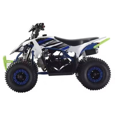 Offerta FOB CFR per 125cc Gas ATV Quad Bikes Off Road Bike 110cc 125cc Colori personalizzati