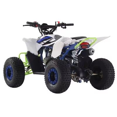 Offerta FOB CFR per 125cc Gas ATV Quad Bikes Off Road Bike 110cc 125cc Colori personalizzati