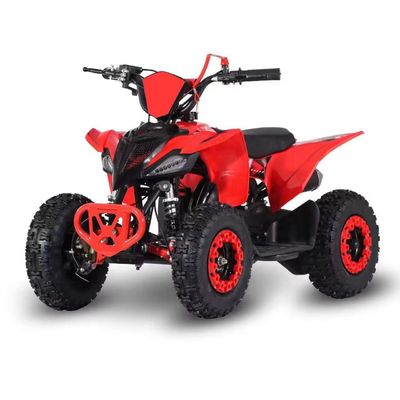 Guida Tipo 2WD 2024 49cc 50cc 2 Stroke Mini Quad bicicletta a gas ATV per bambini con CE