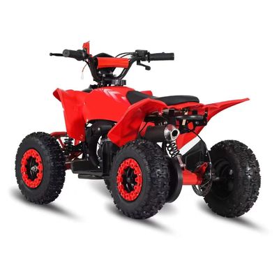 Guida Tipo 2WD 2024 49cc 50cc 2 Stroke Mini Quad bicicletta a gas ATV per bambini con CE