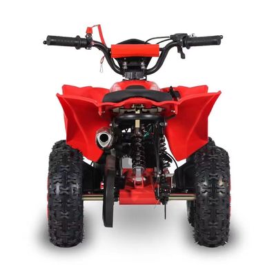 Guida Tipo 2WD 2024 49cc 50cc 2 Stroke Mini Quad bicicletta a gas ATV per bambini con CE