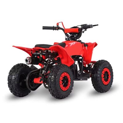 Guida Tipo 2WD 2024 49cc 50cc 2 Stroke Mini Quad bicicletta a gas ATV per bambini con CE