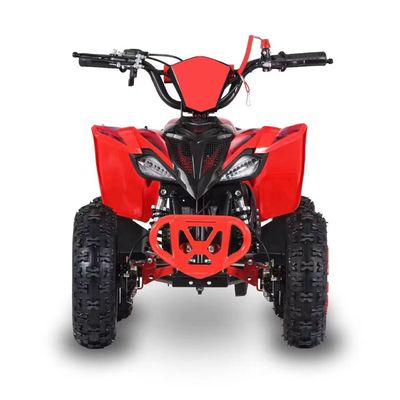 Guida Tipo 2WD 2024 49cc 50cc 2 Stroke Mini Quad bicicletta a gas ATV per bambini con CE