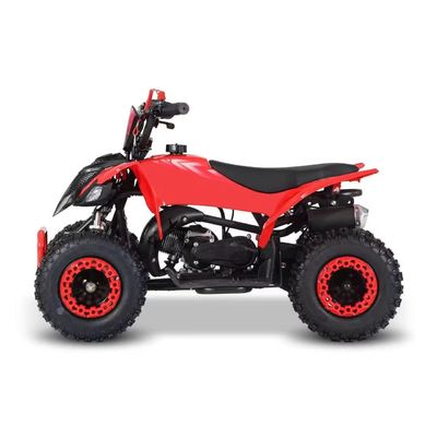 Guida Tipo 2WD 2024 49cc 50cc 2 Stroke Mini Quad bicicletta a gas ATV per bambini con CE