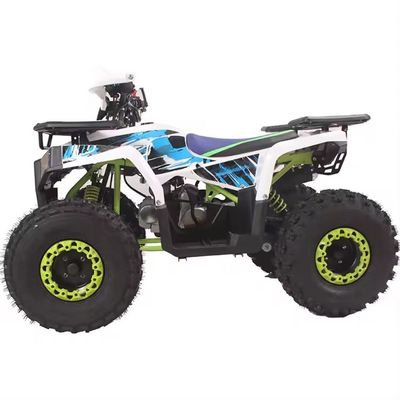 110cc 125cc Quad Bike 4 Wheeler Adventure ATV 4x2 Guida per adulti Facile da manovrare
