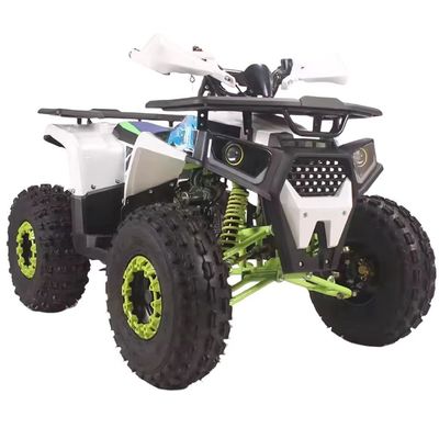 110cc 125cc Quad Bike 4 Wheeler Adventure ATV 4x2 Guida per adulti Facile da manovrare