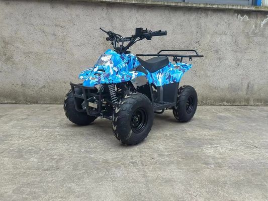 70CC/110CC Automatic Quad Fun toy ATV Buggy per adolescenti con 1 cilindro e conveniente