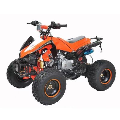 110cc 125cc 4 tempi a catena a quattro ruote quadriciclo con 145/70-6 Dimensione pneumatica e CE