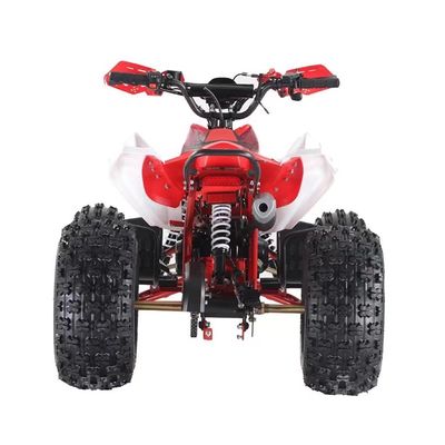 110cc 125cc 4 tempi a catena a quattro ruote quadriciclo con 145/70-6 Dimensione pneumatica e CE