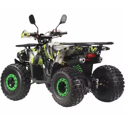 Off Road Farming 125cc ATV a gas con trasmissione automatica e motore a 4 tempi