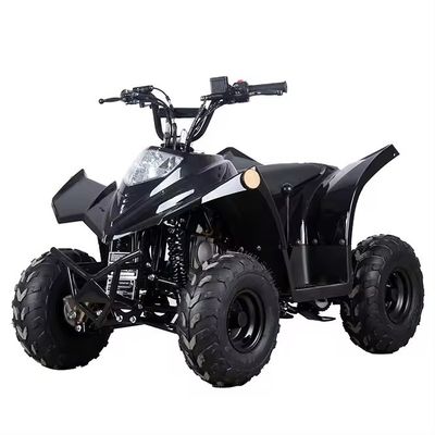 Transmissione a catena compatta ATV 125cc 110CC 70CC con basso consumo di carburante