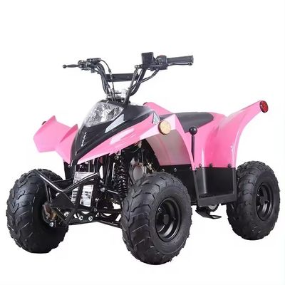 Transmissione a catena compatta ATV 125cc 110CC 70CC con basso consumo di carburante