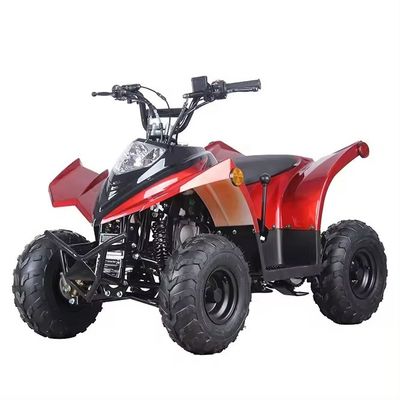 Transmissione a catena compatta ATV 125cc 110CC 70CC con basso consumo di carburante