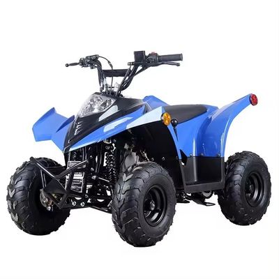 Transmissione a catena compatta ATV 125cc 110CC 70CC con basso consumo di carburante