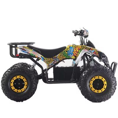 Colori personalizzati Quad ATV 1000W/1500W con freno a disco Ft Rr