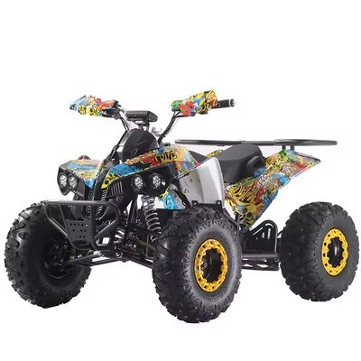 Colori personalizzati Quad ATV 1000W/1500W con freno a disco Ft Rr