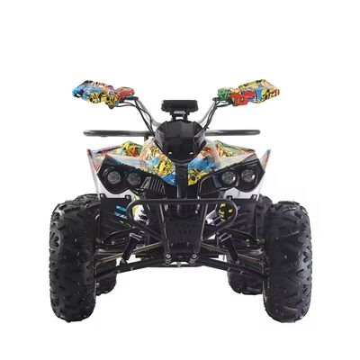 Colori personalizzati Quad ATV 1000W/1500W con freno a disco Ft Rr